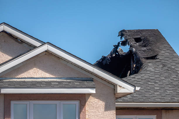 Licensed Fire Damage Assessment service in Montrose, MN - Fire Damage Biloxi
